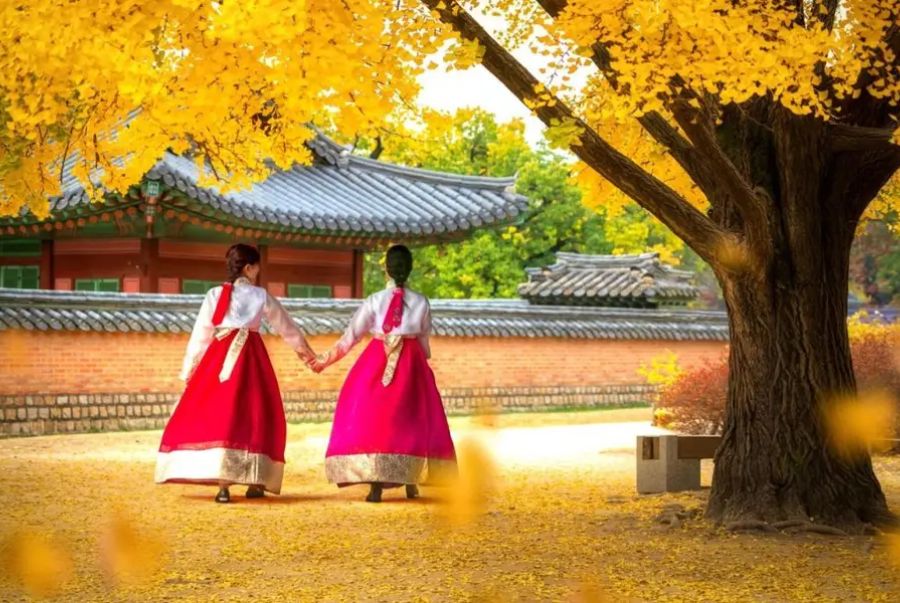 Khoác lên mình bộ Hanbok chụp ảnh cùng mùa thu Seoul là trải nghiệm tuyệt vời