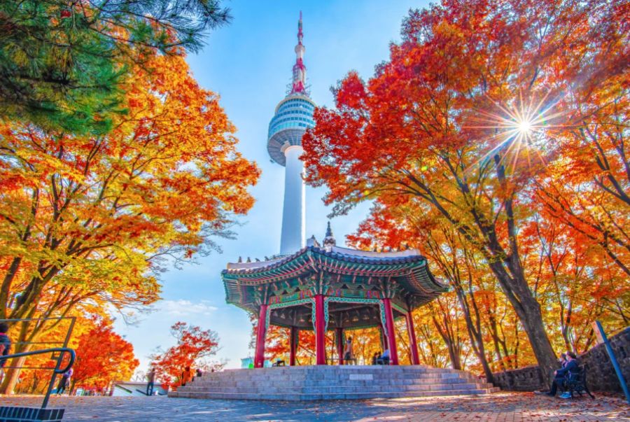 Cảnh sắc mùa thu tuyệt đẹp tại công viên Namsan