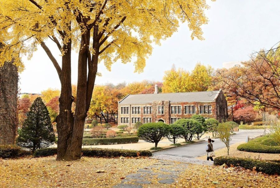 Đại học Yonsei – “khu vườn mùa thu” giữa lòng Seoul
