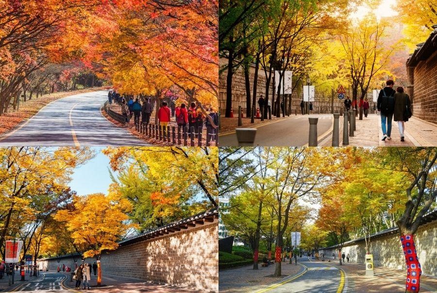 Mùa thu Seoul sẽ kéo dài trong khoảng tháng 9 đến hết tháng 11