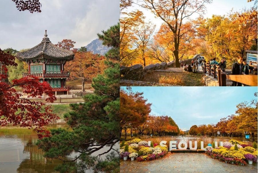 Cảnh sắc rực rỡ của Seoul vào mùa thu