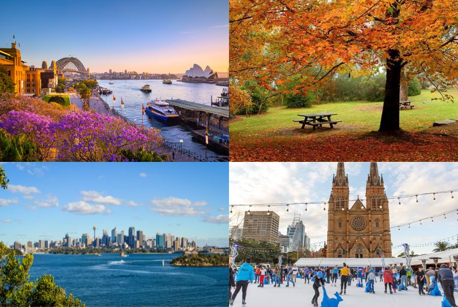 Toàn cảnh 4 mùa khác biệt tại thành phố Sydney xinh đẹp