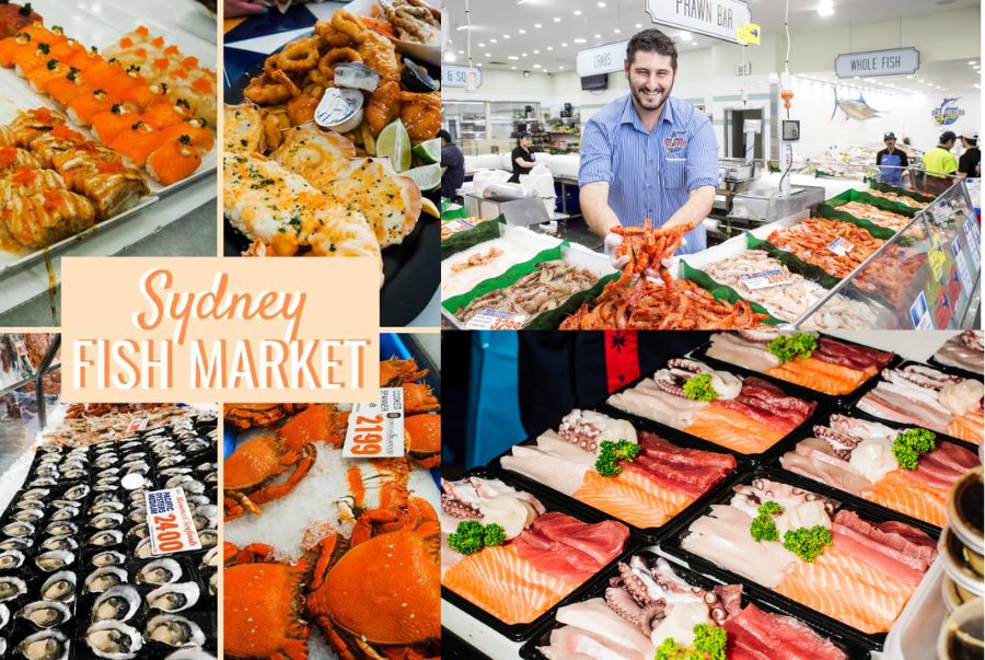 Sydney Fish Market là thiên đường cho tín đồ hải sản