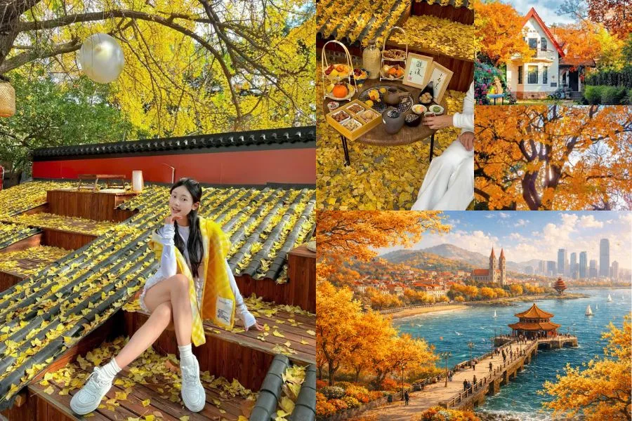 Mùa thu tại Thanh Đảo mang đến vẻ đẹp lãng mạn, bình yên