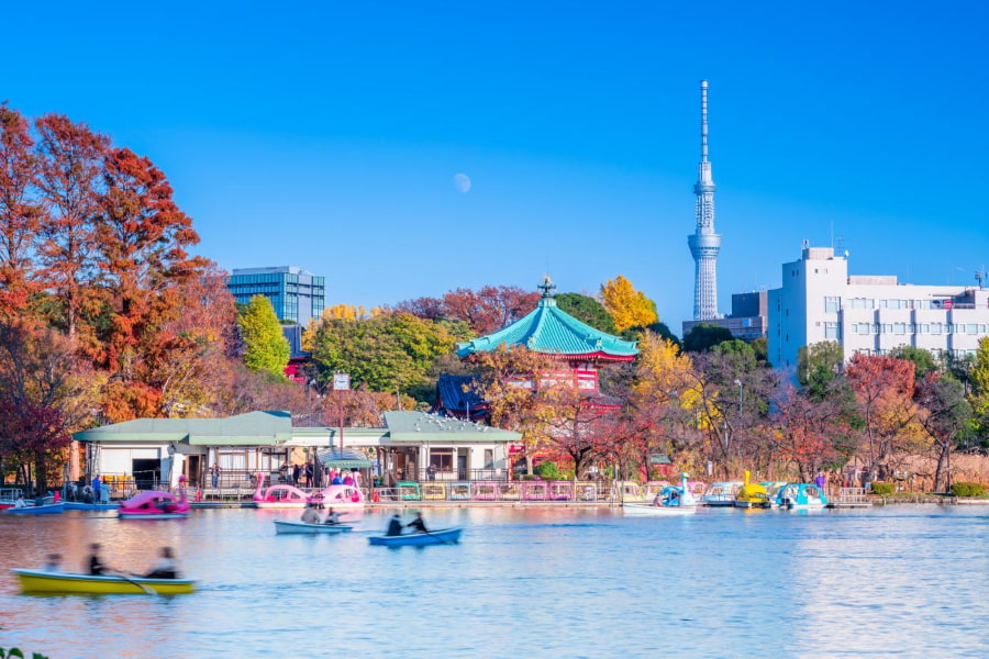 Giữa nhịp sống hối hả của thủ đô Tokyo, những không gian xanh và yên bình mang đến sự thư giãn và cân bằng