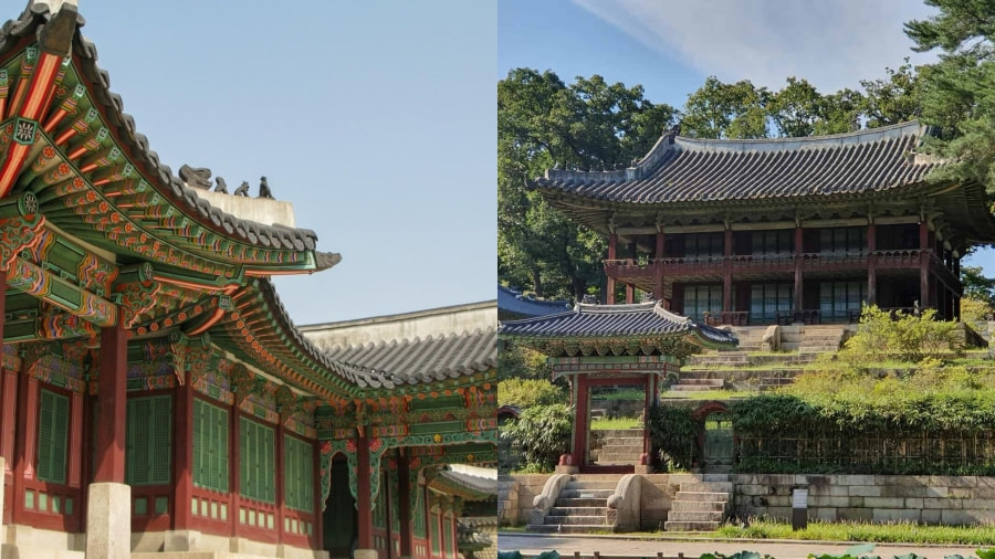 Dù bạn là người yêu lịch sử hay muốn tìm một không gian yên bình thì Cung điện Changdeokgung chính là một địa điểm du lịch Seoul không thể bỏ lỡ