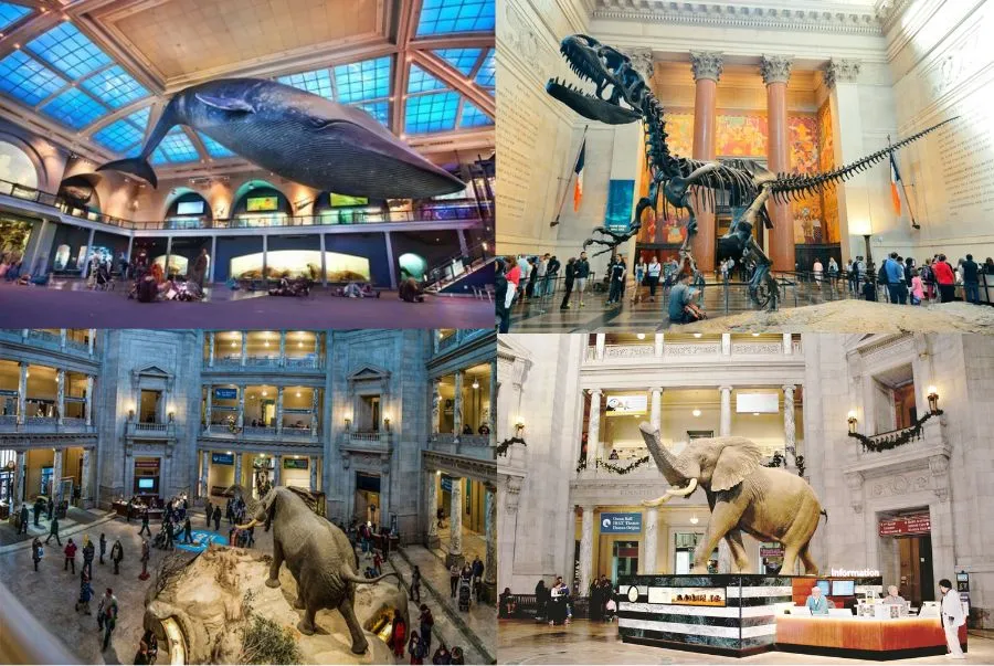 Hệ thống bảo tàng Smithsonian là địa điểm du lịch miễn phí siêu hot tại Mỹ