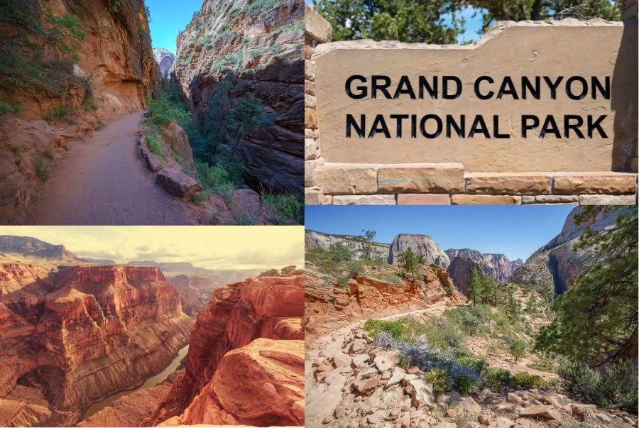 Ngoài khoản phí 35 USD vào cổng, du khách sẽ không mất thêm chi phí nào khi đến với Grand Canyon 