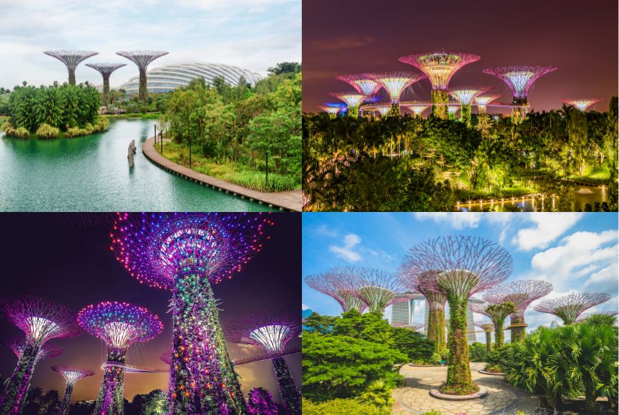 Gardens by the Bay được thiết kế như 1 khu vườn sinh thái ngay trung tâm Singapore