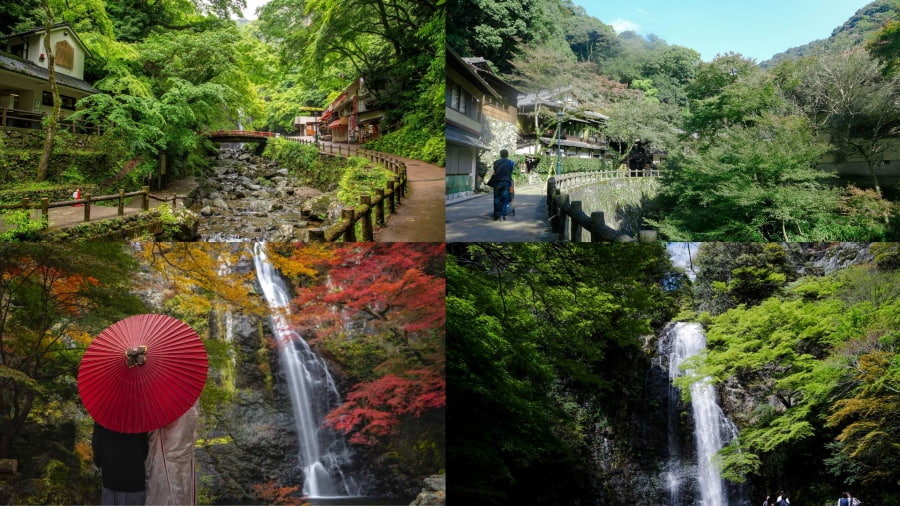 Công viên Minoo hiện ra như một ốc đảo xanh mát, lý tưởng cho một chuyến dã ngoại giữa thiên nhiên trong lành