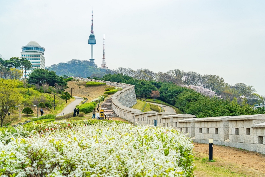 Công viên Namsan tọa lạc trên núi Namsan với tầm nhìn bao quát cả thành phố