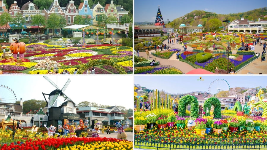 Everland, công viên giải trí lớn nhất Hàn Quốc với nhiều điều thú vị đang chờ đón bạn