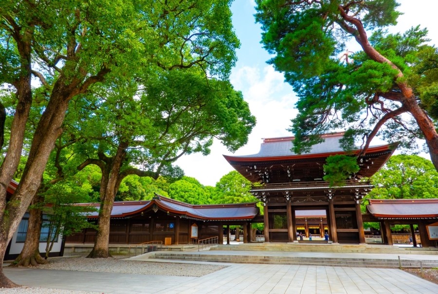 Khung cảnh bình yên và trong xanh tại Đền Meiji Jingu 