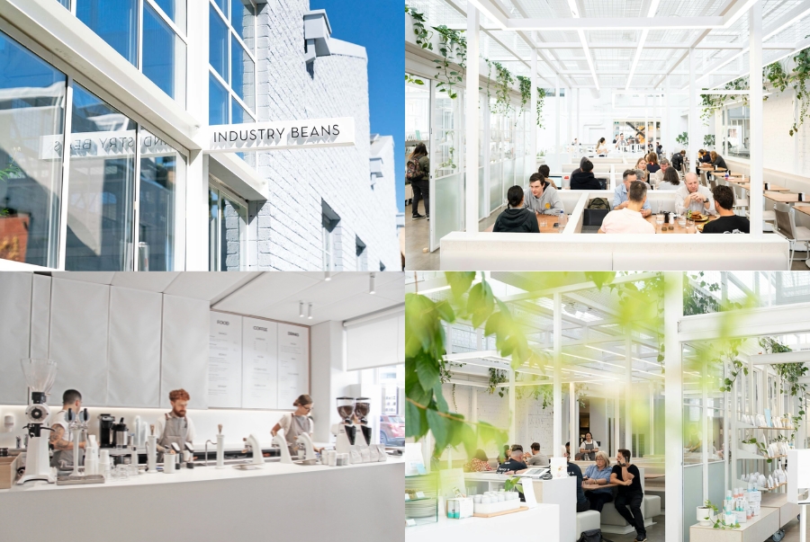 Quán cà phê nổi bật ở Fitzroy với kiến trúc kính hiện đại