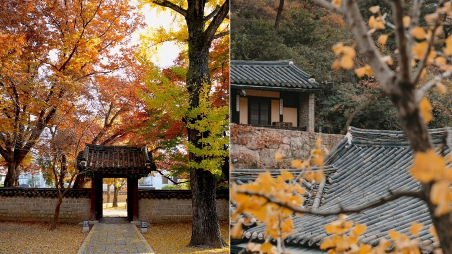 Mùa thu được xem là thời điểm lý tưởng nhất trong năm để đi du lịch Hàn Quốc