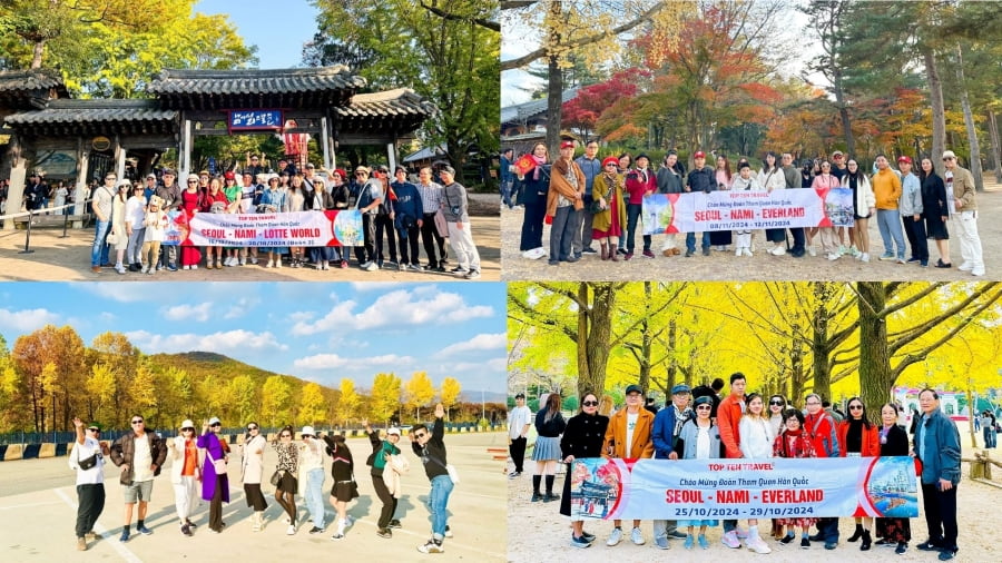 Những tour du lịch Hàn Quốc mùa thu tại nhà Top Ten Travel được nhiều du khách yêu thích và lựa chọn