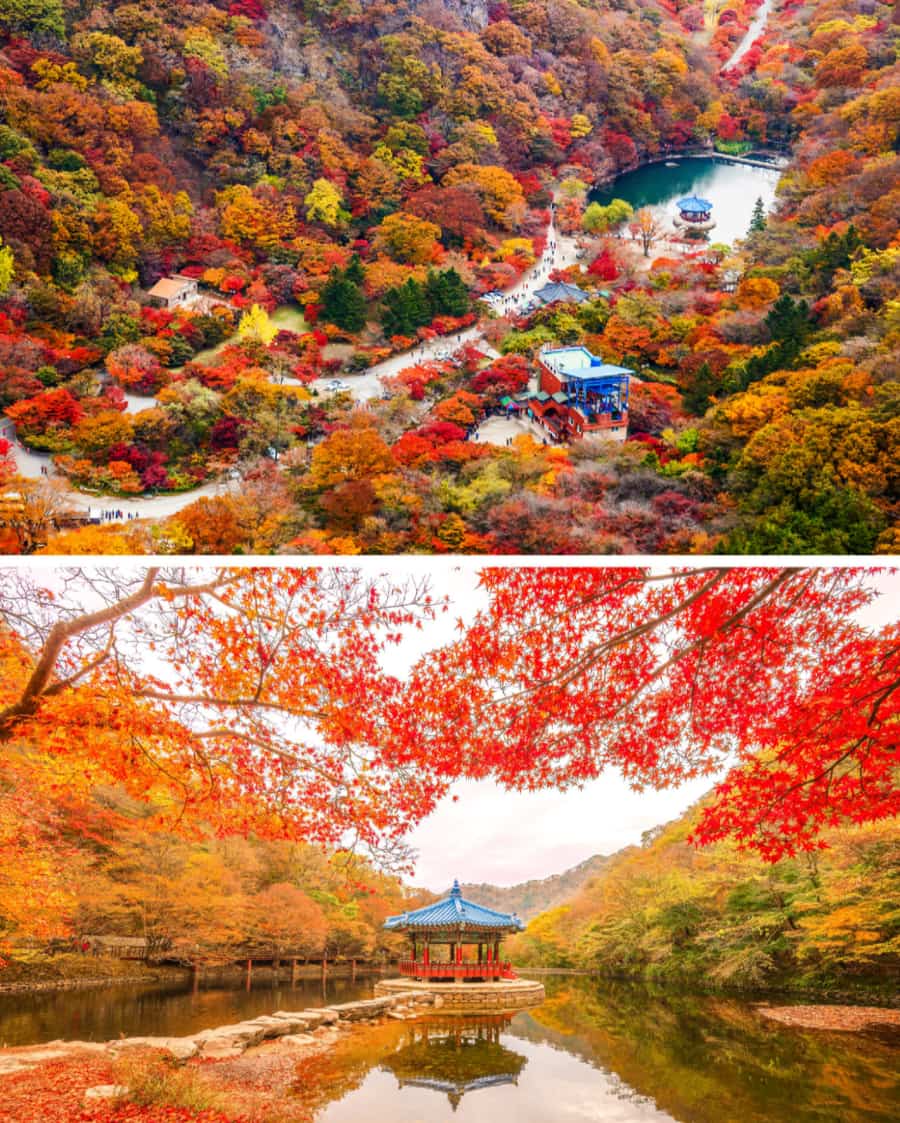 Công viên Quốc gia Naejangsan là một trong những địa điểm ngắm lá mùa thu đẹp nhất tại Hàn Quốc