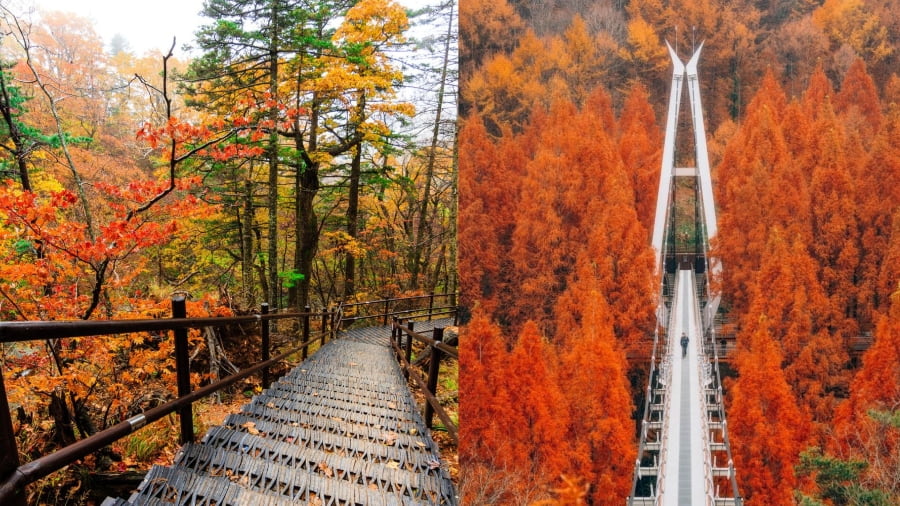 Seoraksan luôn là điểm đến hàng đầu để ngắm lá phong vào đầu mùa thu