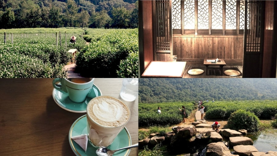 Bảo tàng Quốc gia Trà Trung Quốc là một điểm đến không thể bỏ qua trong hành trình du lịch Hàng Châu của bạn