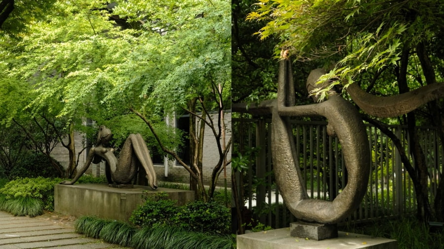 Vườn bách thảo Hàng Châu là một khu vườn rộng lớn với hàng ngàn loài thực vật đa dạng