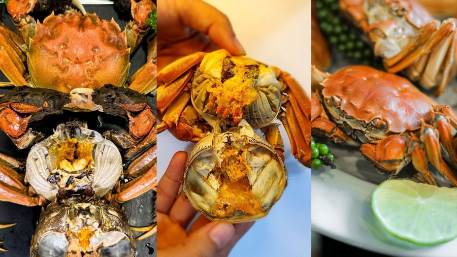 Nếu bạn lên kế hoạch du lịch Hàng Châu vào mùa thu, bạn sẽ có cơ hội thưởng thức Cua lông Tây Hồ