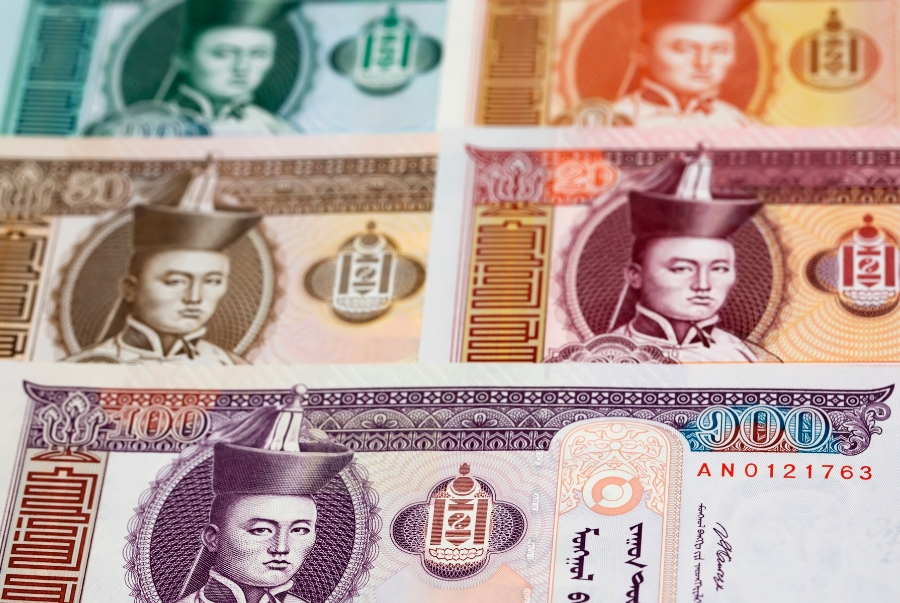 Du khách nên chuẩn bị tiền mặt vì nhiều vùng ở Mông Cổ không chấp nhận thanh toán thẻ