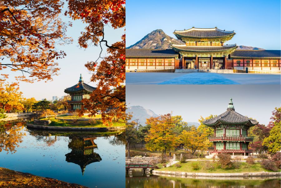 Diện Hanbok và dạo bước quanh cung điện để hòa mình vào cảnh hoàng gia xưa