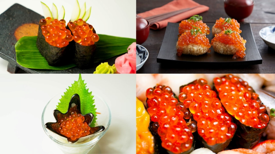 Trứng cá hồi Ikura được mệnh danh là “viên ngọc cam” của biển Bắc bởi màu sắc rực rỡ và hương vị đặc trưng