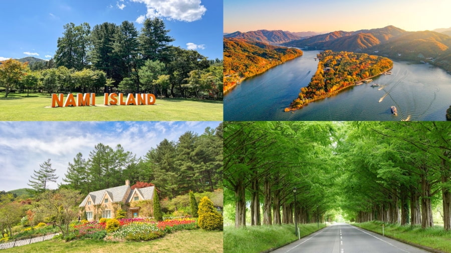 Đảo Nami luôn là một trong những điểm đến hàng đầu khi đi du lịch Hàn Quốc