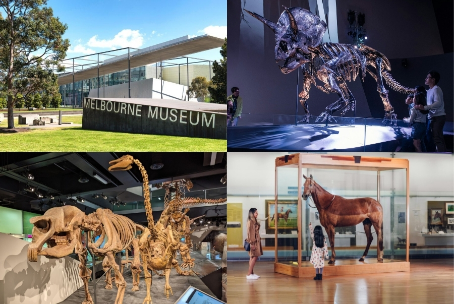 Khám phá khu trưng bày khủng long hóa thạch và mô hình sinh động tại Melbourne Museum