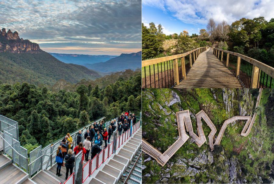 Scenic Walkway - Tuyến đường gỗ dài 2,4km uốn lượn giữa rừng mưa ôn đới