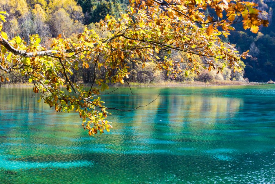 Cửu Trại Câu là khu bảo tồn thiên nhiên được ví như báu vật của Trung Quốc