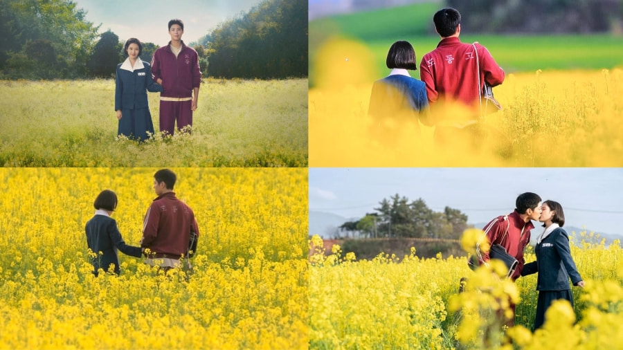 Đảo Jeju Hàn Quốc từ lâu nổi tiếng với vẻ đẹp lãng mạn của những cánh đồng hoa cải vàng rực rỡ, trải dài bất tận