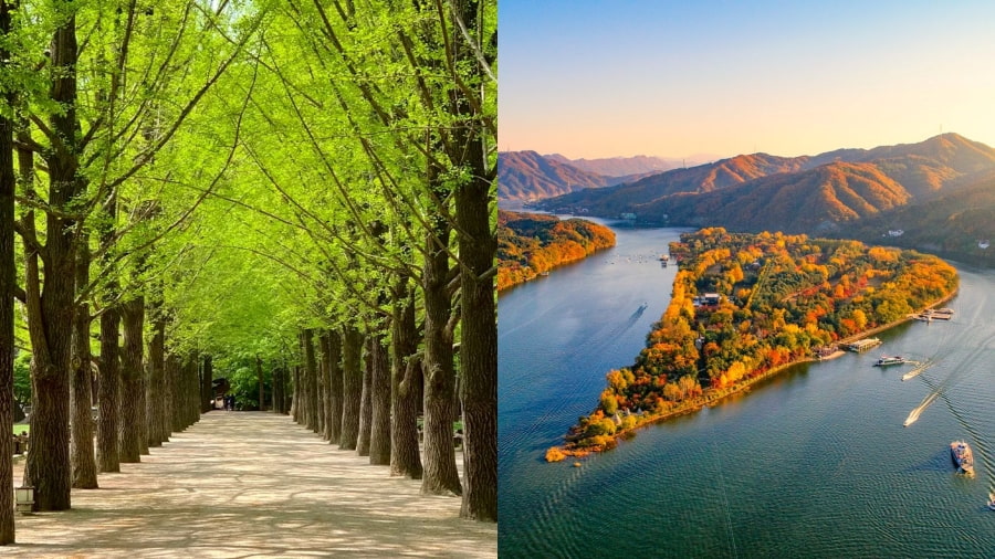 Đảo Nami Hàn Quốc hình bán nguyệt này nổi tiếng với vẻ đẹp lãng mạn quanh năm