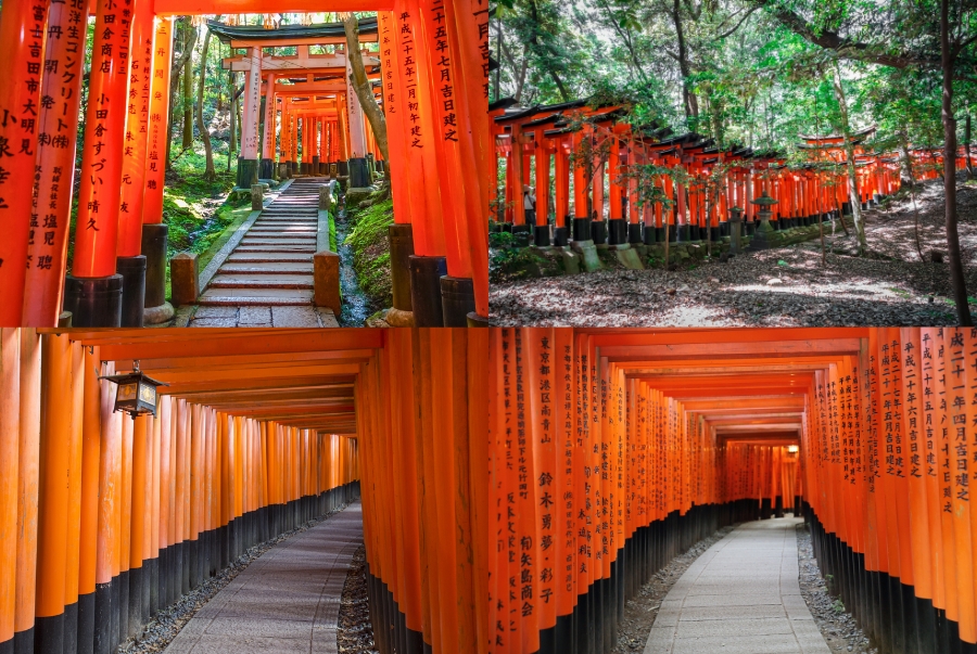 Những cổng torii này không được xây cùng thời điểm mà là kết quả của việc hiến tặng kéo dài suốt nhiều thế kỷ