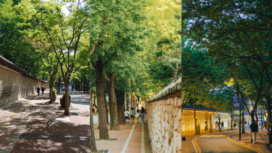 Deoksugung Doldam-gil là một trong những con đường đẹp và lãng mạn nhất Seoul mà bạn không nên bỏ qua khi đi du lịch Hàn Quốc