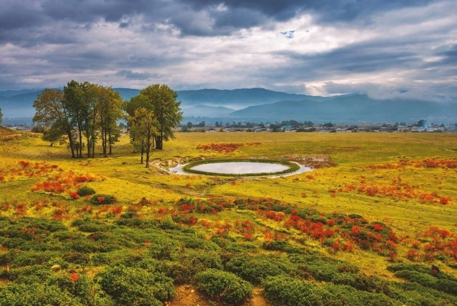 Cảnh sắc Shangri La mùa thu hòa quyện giữa núi non xanh biếc và rừng lá đỏ vàng