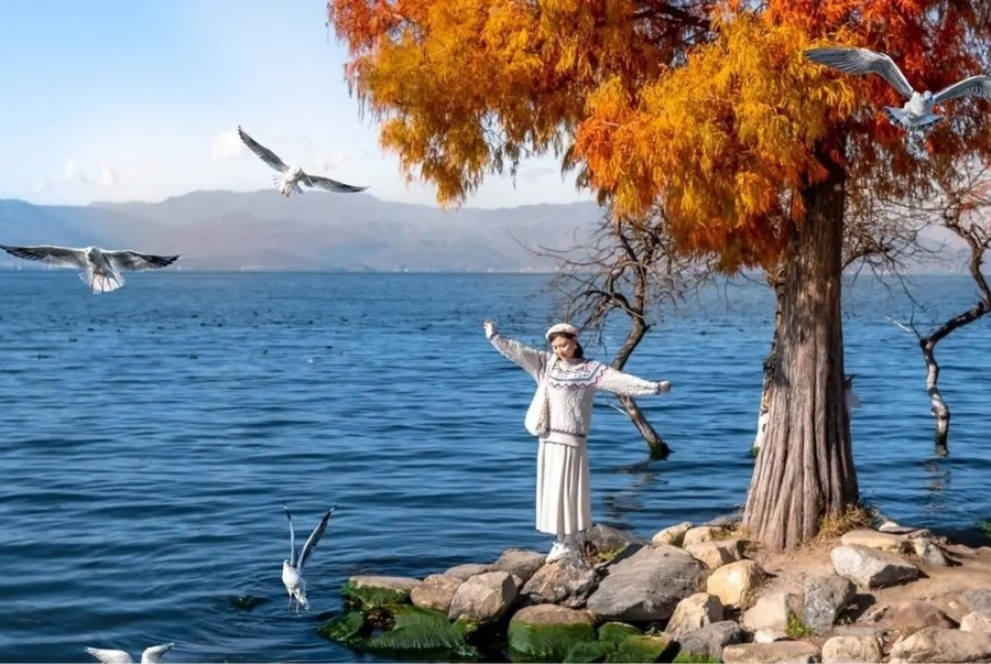 Khung cảnh lãng mạn của hồ Nhĩ Hải khi vào thu