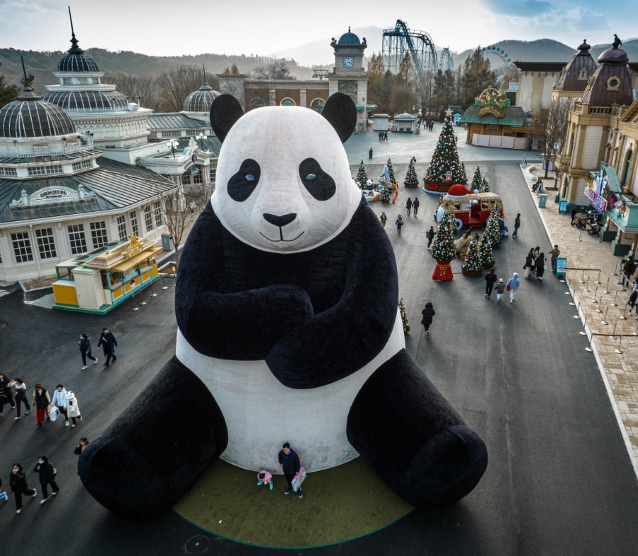 Panda World là một trong những điểm đến hấp dẫn dành cho những ai yêu thích động vật hoang dã