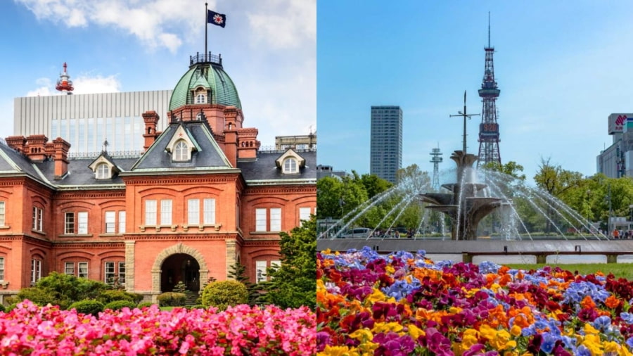 Mùa xuân ở Sapporo đến muộn hơn so với các vùng khác của Nhật Bản, mang theo vẻ đẹp của những mùa hoa nở rộ