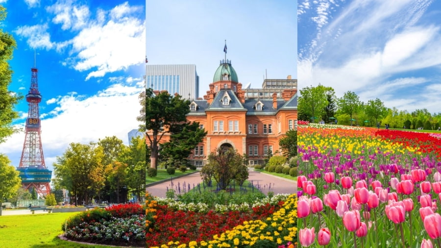 Mùa hè ở Sapporo có khí hậu dễ chịu và mát mẻ, lý tưởng cho các hoạt động ngoài trời