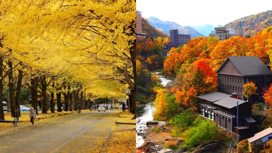 Sapporo mùa thu như một bức tranh rực rỡ với sắc vàng, đỏ của lá cây
