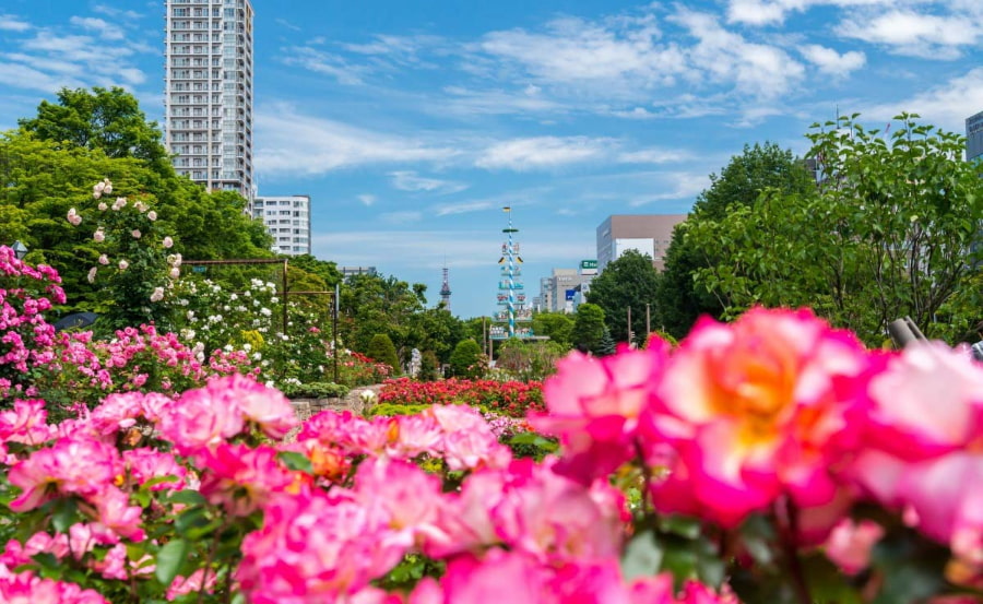 Công viên Odori là một nơi lý tưởng để tản bộ, thư giãn khi đi đến Hokkaido