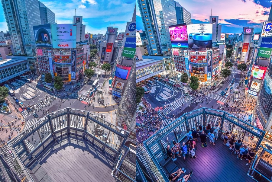 Du khách có thể quan sát Shibuya Crossing từ trên cao để có góc nhìn toàn cảnh