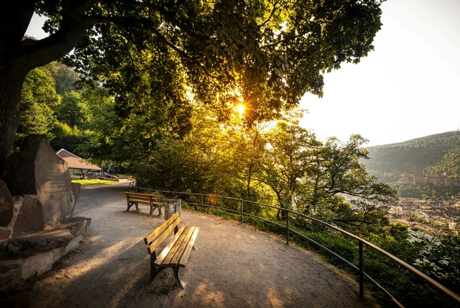 Con đường Philosophenweg là nơi du khách có thể nhìn toàn cảnh thành phố Heidelberg và sông Neckar