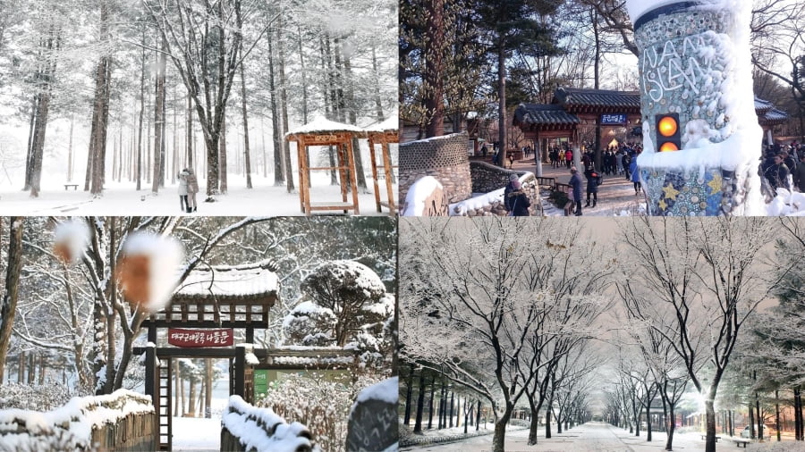 Đảo Nami mùa đông mang vẻ đẹp hoàn toàn khác biệt, huyền ảo và lãng mạn như những thước phim