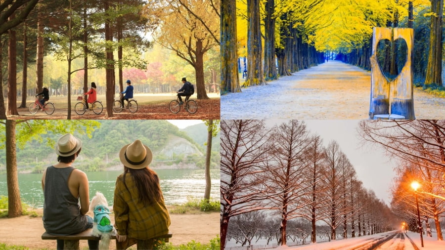 Đảo Nami mang vẻ đẹp 4 mùa đầy lãng mạn, là một điểm đến tuyệt vời mà bạn có thể ghé thăm vào bất kỳ thời điểm nào