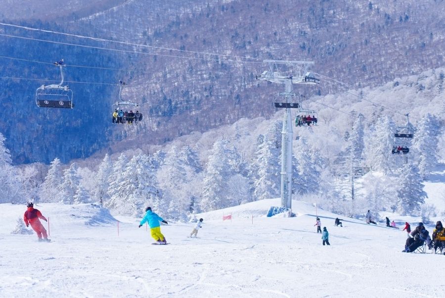 Du khách mới bắt đầu trượt tuyết có thể tham gia các lớp học được tổ chức tại đây