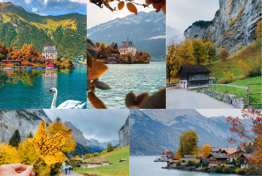 Khung cảnh của Brienz và Thun mỗi khi mùa thu gõ cửa