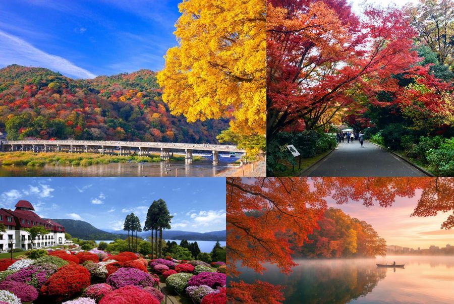 Trải dài khắp khuôn viên Rikugien là vô số công trình và chi tiết kiến trúc độc đáo